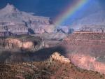 rainbow_39