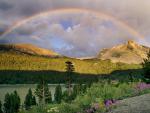 rainbow_41