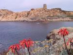 France_118