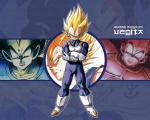 vegeta2