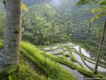 Indonesia_004