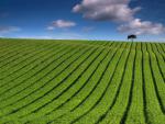 green_051