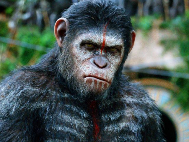 Planet_of_the_apes_04