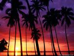 Sunset_039