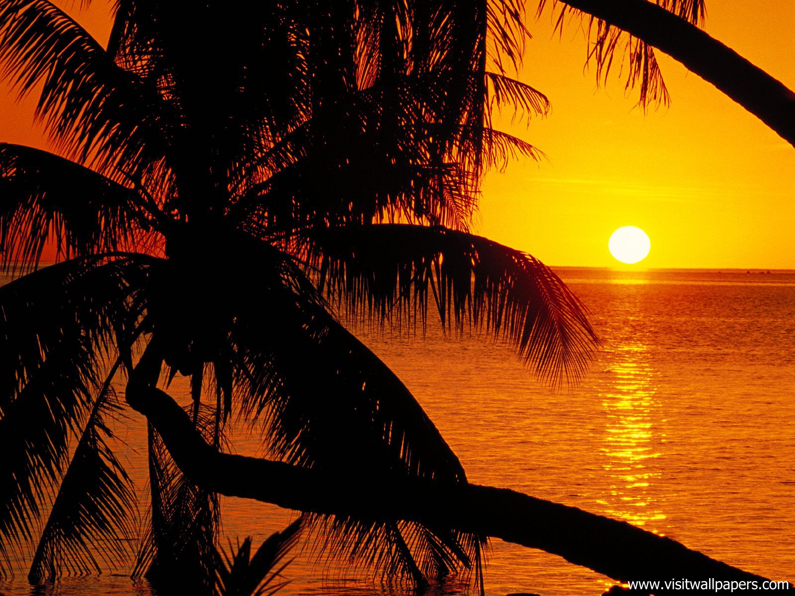 Sunset_051