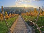 Sunset_071