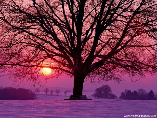 Sunset_075