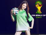 worldcup_2014_011