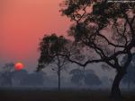 Sunrise_36