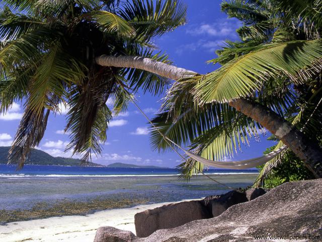 Beaches_097