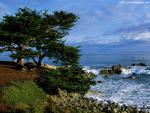oceans_152