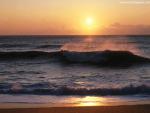 oceans_157