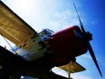 airplane_30