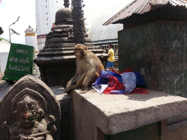 nepal_047
