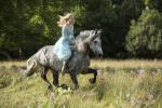 cinderella_16