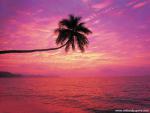 Islands_012