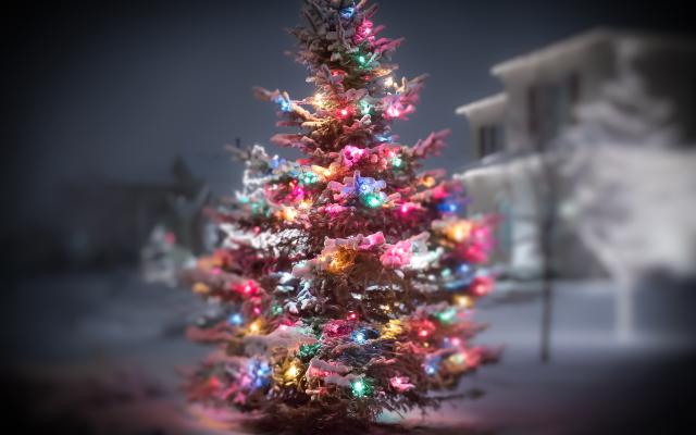 christmas_006