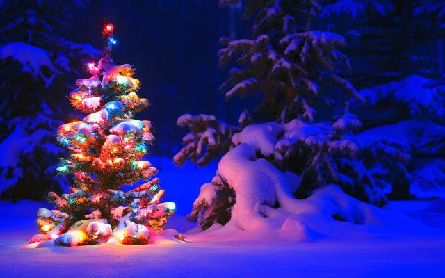 christmas_011