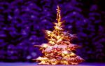 christmas_036