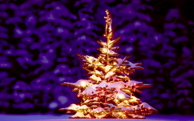 christmas_036