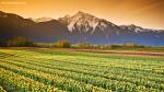 mountains_288