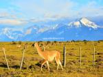 south_america_041