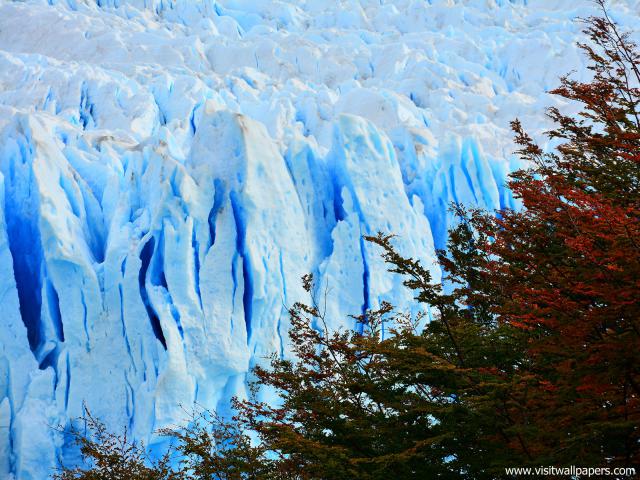 south_america_113