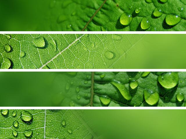 green_053