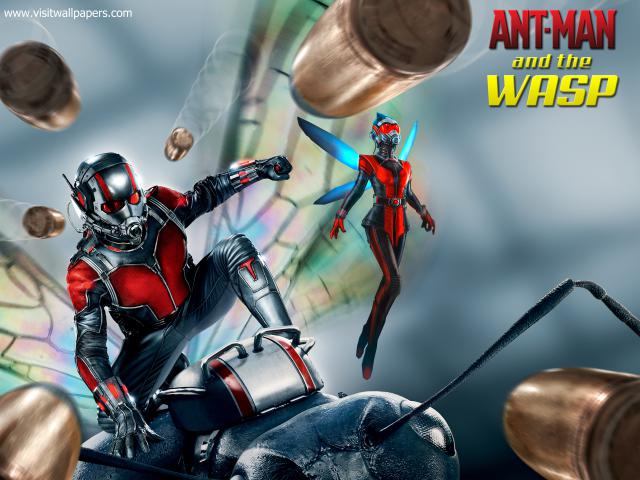 antman_02