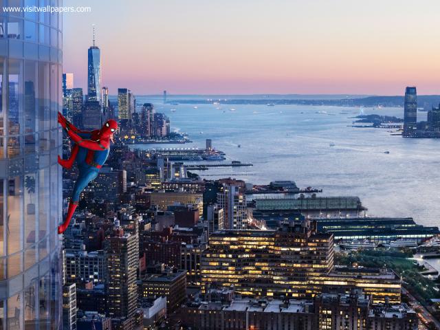 Spiderman240
