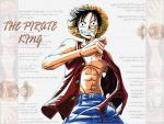 One_Piece_15