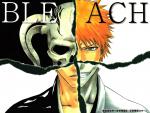 Bleach01