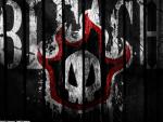 Bleach04