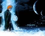 Bleach08