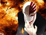 Bleach10