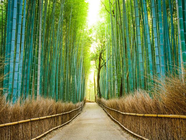 Japan_127