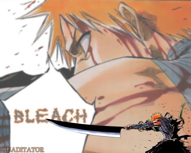 Bleach14