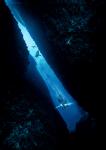 47_Meters_Down_2