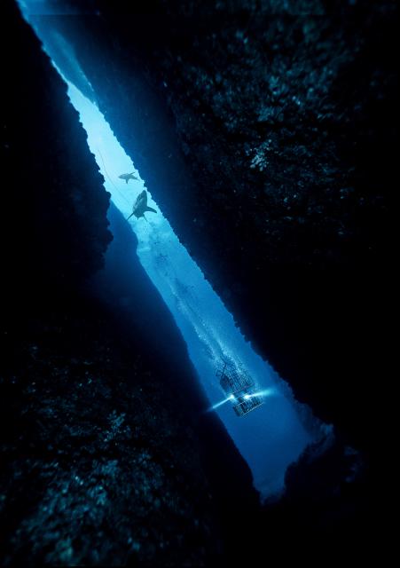 47_Meters_Down_2