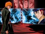 Bleach20
