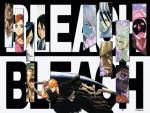 Bleach24