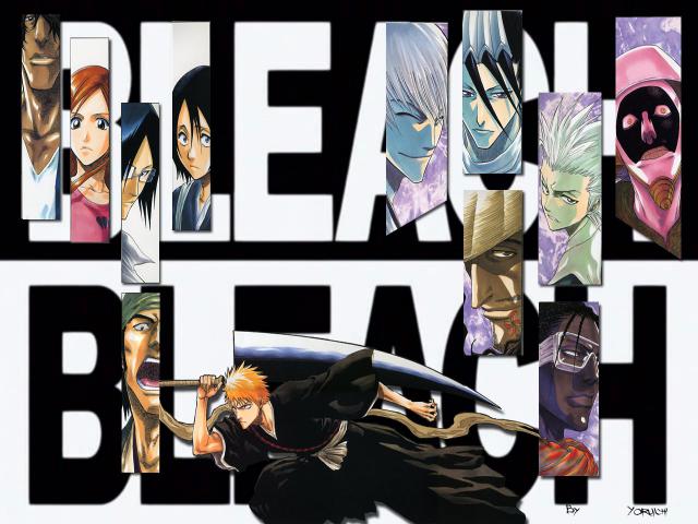 Bleach24