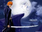 Bleach25
