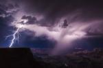 force_of_nature_84