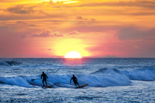 surfer_47