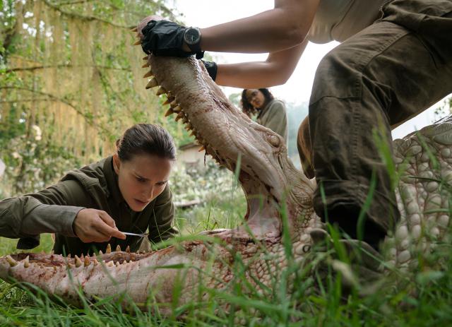 annihilation_02