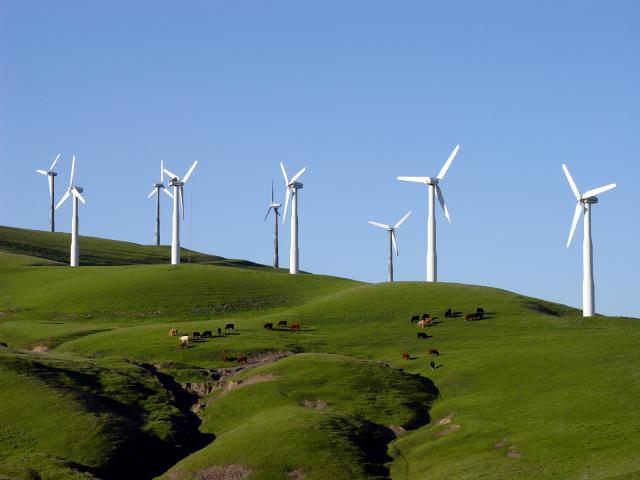 Windmill_10