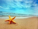 Beaches_108