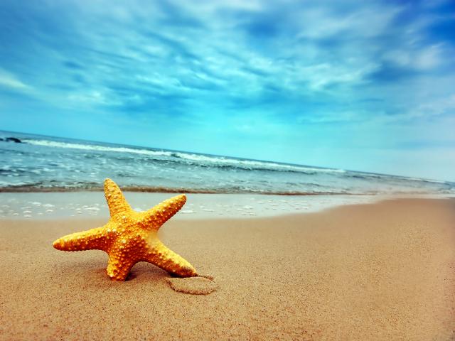 Beaches_108