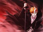 Bleach26